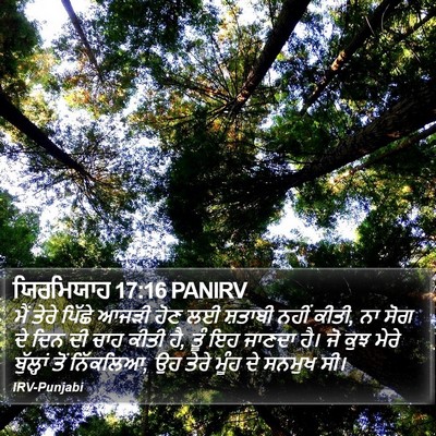 ਯਿਰਮਿਯਾਹ 17:16 PANIRV Bible Verse Image