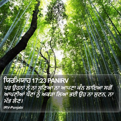 ਯਿਰਮਿਯਾਹ 17:23 PANIRV Bible Verse Image