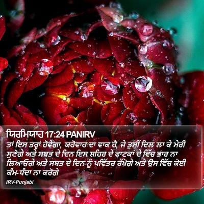 ਯਿਰਮਿਯਾਹ 17:24 PANIRV Bible Verse Image