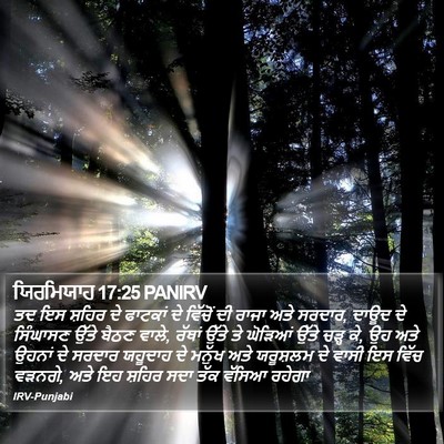 ਯਿਰਮਿਯਾਹ 17:25 PANIRV Bible Verse Image