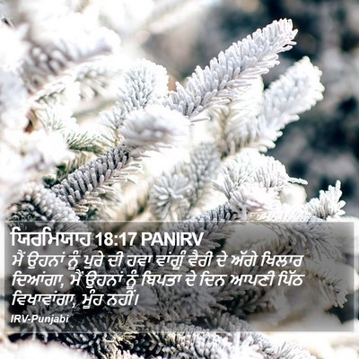 ਯਿਰਮਿਯਾਹ 18:17 PANIRV Bible Verse Image
