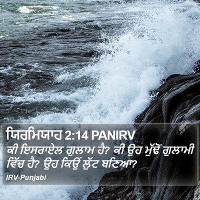 ਯਿਰਮਿਯਾਹ 2:14 PANIRV Bible Verse Image