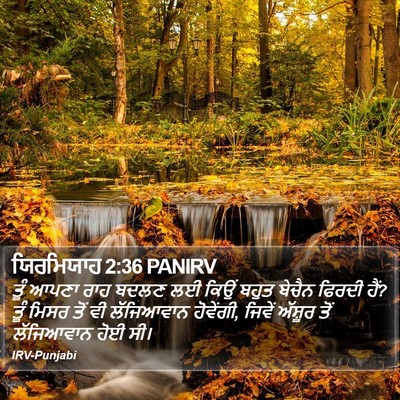 ਯਿਰਮਿਯਾਹ 2:36 PANIRV Bible Verse Image