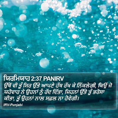 ਯਿਰਮਿਯਾਹ 2:37 PANIRV Bible Verse Image