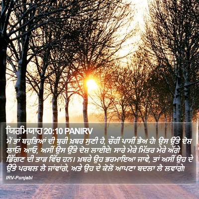 ਯਿਰਮਿਯਾਹ 20:10 PANIRV Bible Verse Image
