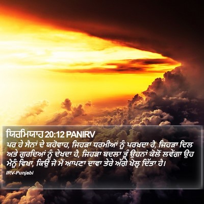ਯਿਰਮਿਯਾਹ 20:12 PANIRV Bible Verse Image
