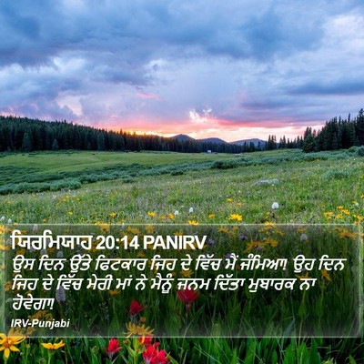 ਯਿਰਮਿਯਾਹ 20:14 PANIRV Bible Verse Image