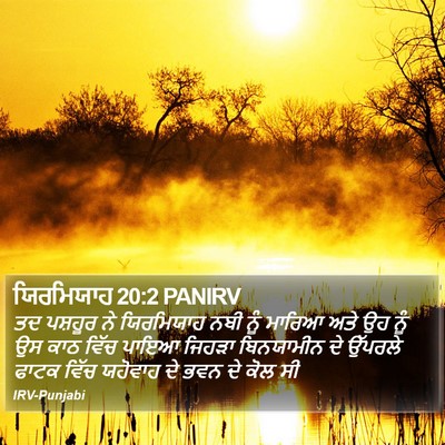 ਯਿਰਮਿਯਾਹ 20:2 PANIRV Bible Verse Image