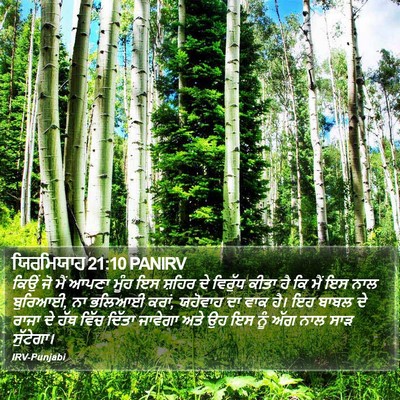 ਯਿਰਮਿਯਾਹ 21:10 PANIRV Bible Verse Image