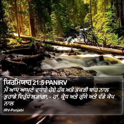 ਯਿਰਮਿਯਾਹ 21:5 PANIRV Bible Verse Image