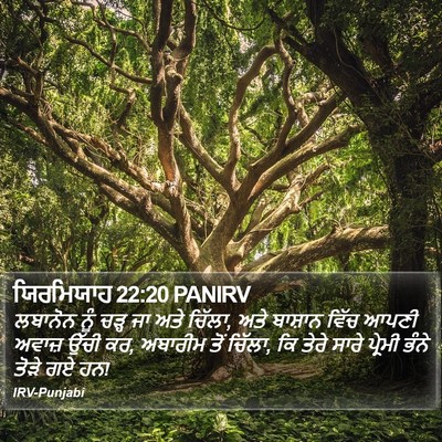 ਯਿਰਮਿਯਾਹ 22:20 PANIRV Bible Verse Image