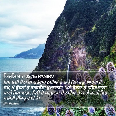 ਯਿਰਮਿਯਾਹ 23:15 PANIRV Bible Verse Image