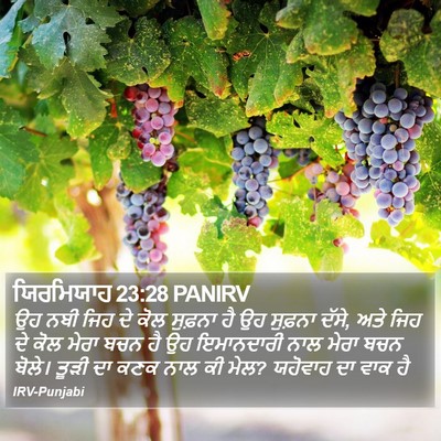 ਯਿਰਮਿਯਾਹ 23:28 PANIRV Bible Verse Image