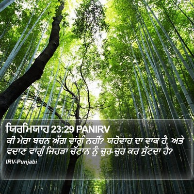 ਯਿਰਮਿਯਾਹ 23:29 PANIRV Bible Verse Image