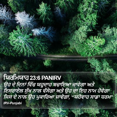 ਯਿਰਮਿਯਾਹ 23:6 PANIRV Bible Verse Image