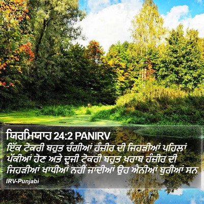 ਯਿਰਮਿਯਾਹ 24:2 PANIRV Bible Verse Image