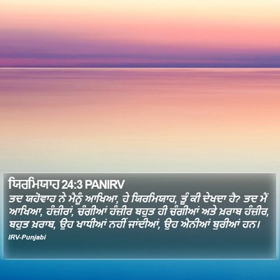 ਯਿਰਮਿਯਾਹ 24:3 PANIRV Bible Verse Image