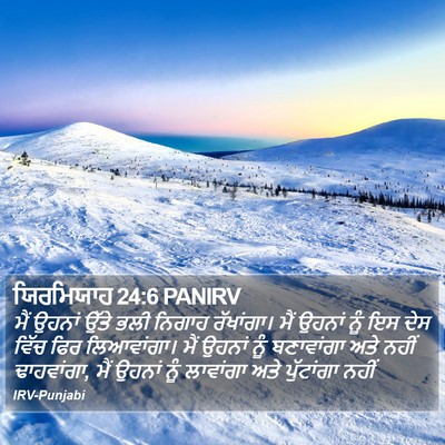 ਯਿਰਮਿਯਾਹ 24:6 PANIRV Bible Verse Image