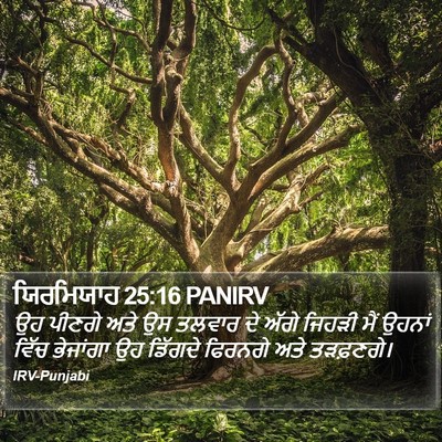 ਯਿਰਮਿਯਾਹ 25:16 PANIRV Bible Verse Image