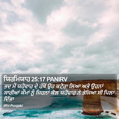 ਯਿਰਮਿਯਾਹ 25:17 PANIRV Bible Verse Image