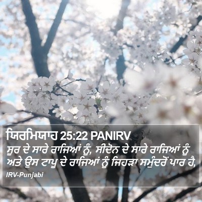 ਯਿਰਮਿਯਾਹ 25:22 PANIRV Bible Verse Image