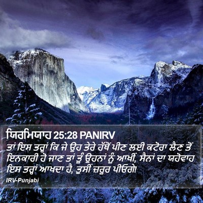 ਯਿਰਮਿਯਾਹ 25:28 PANIRV Bible Verse Image