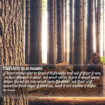 ਯਿਰਮਿਯਾਹ 25:30 PANIRV Bible Verse Image