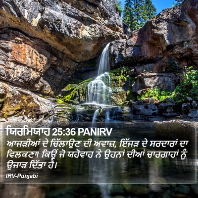 ਯਿਰਮਿਯਾਹ 25:36 PANIRV Bible Verse Image