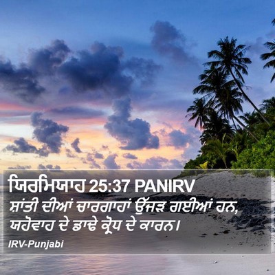 ਯਿਰਮਿਯਾਹ 25:37 PANIRV Bible Verse Image