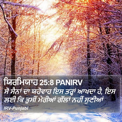 ਯਿਰਮਿਯਾਹ 25:8 PANIRV Bible Verse Image