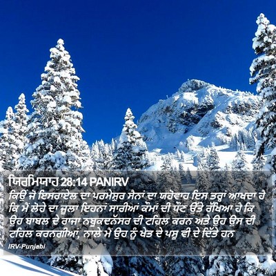 ਯਿਰਮਿਯਾਹ 28:14 PANIRV Bible Verse Image