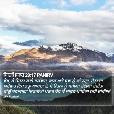 ਯਿਰਮਿਯਾਹ 29:17 PANIRV Bible Verse Image