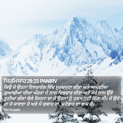 ਯਿਰਮਿਯਾਹ 29:23 PANIRV Bible Verse Image