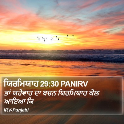 ਯਿਰਮਿਯਾਹ 29:30 PANIRV Bible Verse Image