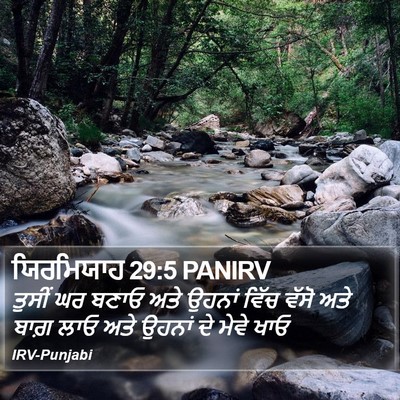 ਯਿਰਮਿਯਾਹ 29:5 PANIRV Bible Verse Image