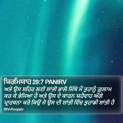 ਯਿਰਮਿਯਾਹ 29:7 PANIRV Bible Verse Image