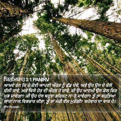 ਯਿਰਮਿਯਾਹ 3:1 PANIRV Bible Verse Image