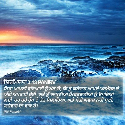 ਯਿਰਮਿਯਾਹ 3:13 PANIRV Bible Verse Image