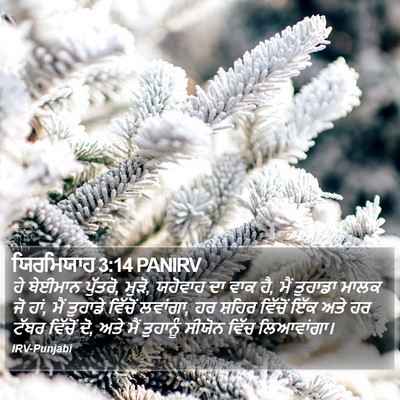 ਯਿਰਮਿਯਾਹ 3:14 PANIRV Bible Verse Image