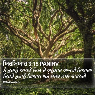 ਯਿਰਮਿਯਾਹ 3:15 PANIRV Bible Verse Image