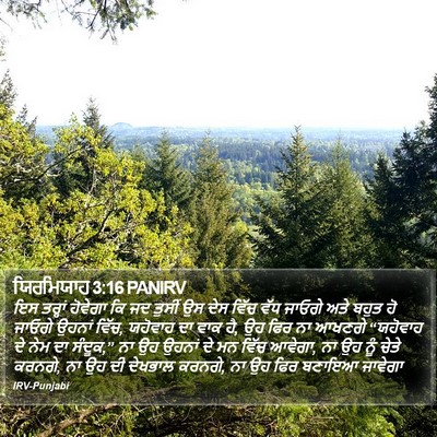 ਯਿਰਮਿਯਾਹ 3:16 PANIRV Bible Verse Image