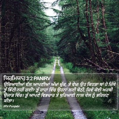 ਯਿਰਮਿਯਾਹ 3:2 PANIRV Bible Verse Image