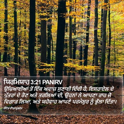 ਯਿਰਮਿਯਾਹ 3:21 PANIRV Bible Verse Image