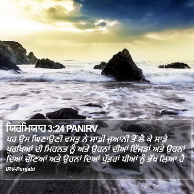 ਯਿਰਮਿਯਾਹ 3:24 PANIRV Bible Verse Image