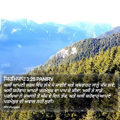 ਯਿਰਮਿਯਾਹ 3:25 PANIRV Bible Verse Image