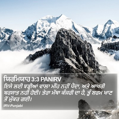 ਯਿਰਮਿਯਾਹ 3:3 PANIRV Bible Verse Image