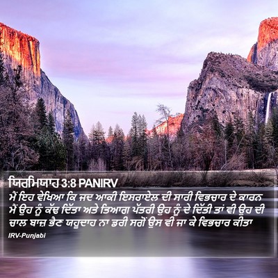 ਯਿਰਮਿਯਾਹ 3:8 PANIRV Bible Verse Image