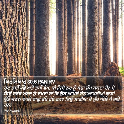 ਯਿਰਮਿਯਾਹ 30:6 PANIRV Bible Verse Image