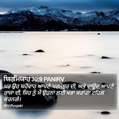 ਯਿਰਮਿਯਾਹ 30:9 PANIRV Bible Verse Image