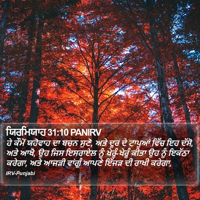 ਯਿਰਮਿਯਾਹ 31:10 PANIRV Bible Verse Image